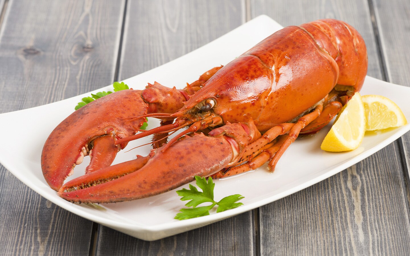 Homard américain entier (15535) | Livraison gratuite | bofrost.fr Homard américain entier (15535) | Livraison gratuite | bofrost.fr