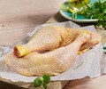Cuisses de poulet fermier – nature – bio (Numéro d’article 16330)